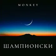 Шампионски